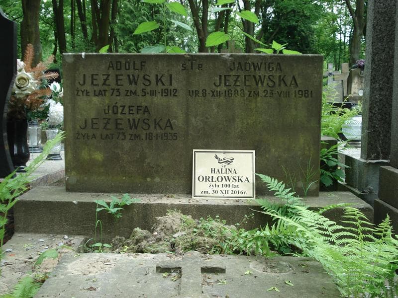 Zdjęcie grobu Seweryn Januszewski (2)
