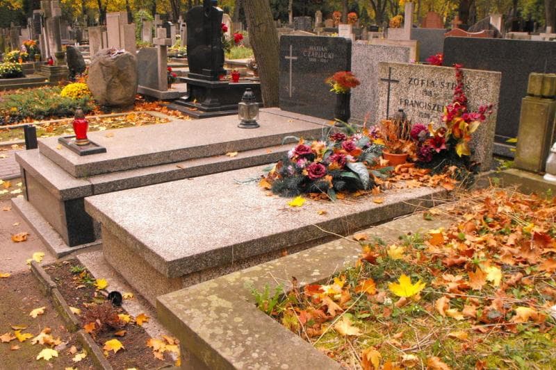 Zdjęcie grobu Franciszek Struś (1)
