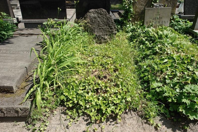 Zdjęcie grobu Kazimiera Czermińska (1)