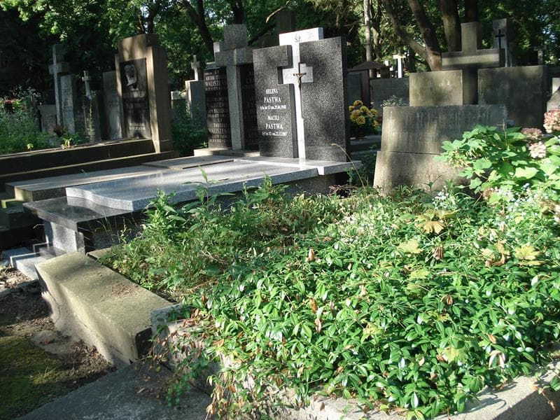 Zdjęcie grobu Bolesław Malinowski (1)