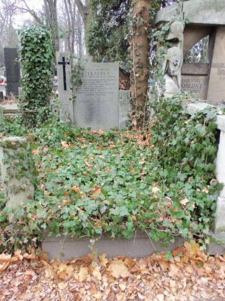 Zdjęcie grobu: Józefa Czekalska