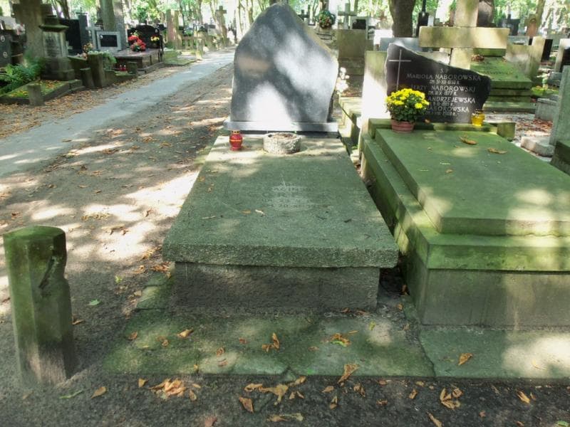Zdjęcie grobu Henryk Górecki (1)