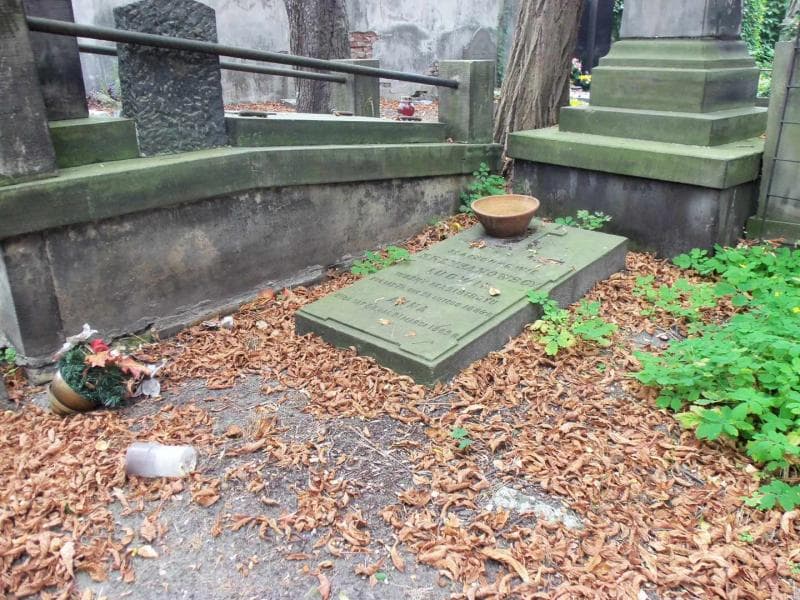 Zdjęcie grobu Ludwik Krzyżanowski (1)