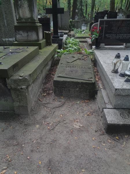 Zdjęcie grobu Katarzyna Chłopicka (1)