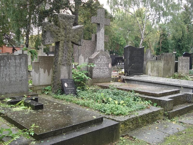 Zdjęcie grobu Aldona Judycka-Szuszkiewicz (1)