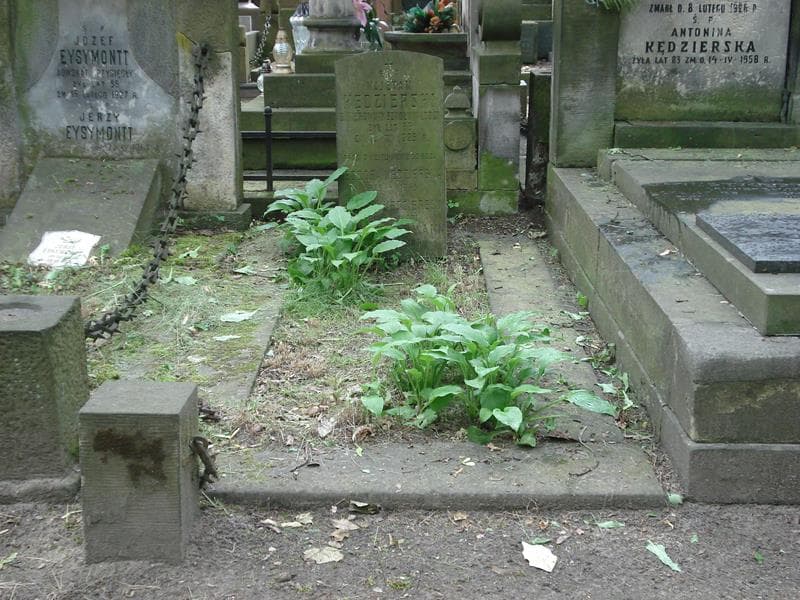 Zdjęcie grobu Antoni Kędzierski (2)