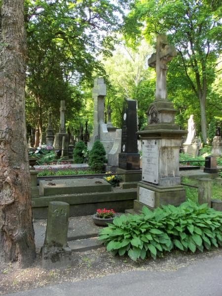 Zdjęcie grobu Zofia Żuchniewska (1)
