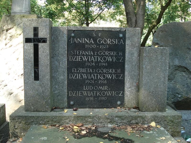 Zdjęcie grobu Janina Górska (2)