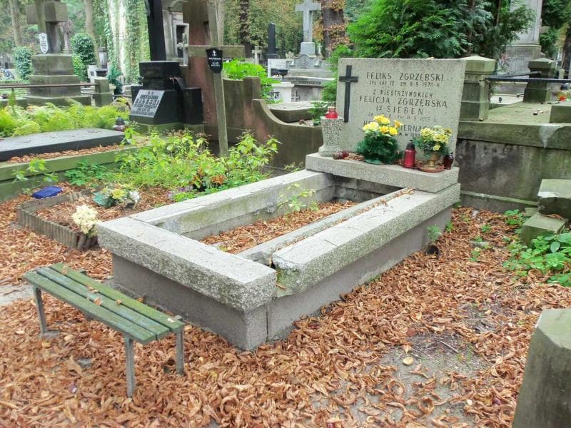 Zdjęcie grobu Henryk Biernacki (1)