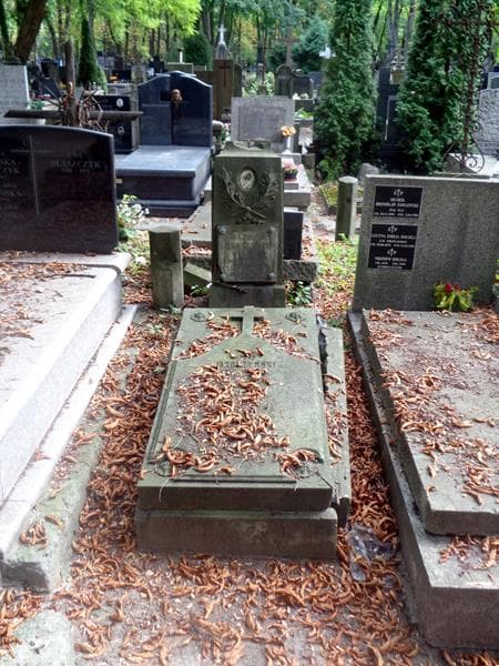 Zdjęcie grobu Rajmund Jaroszyński (1)