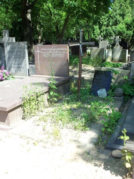Zdjęcie grobu Henryk Wójtowicz (1)