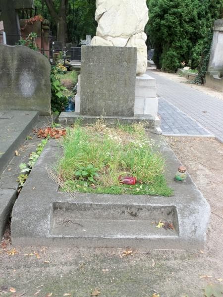 Zdjęcie grobu: Feliks Brzeskwiński