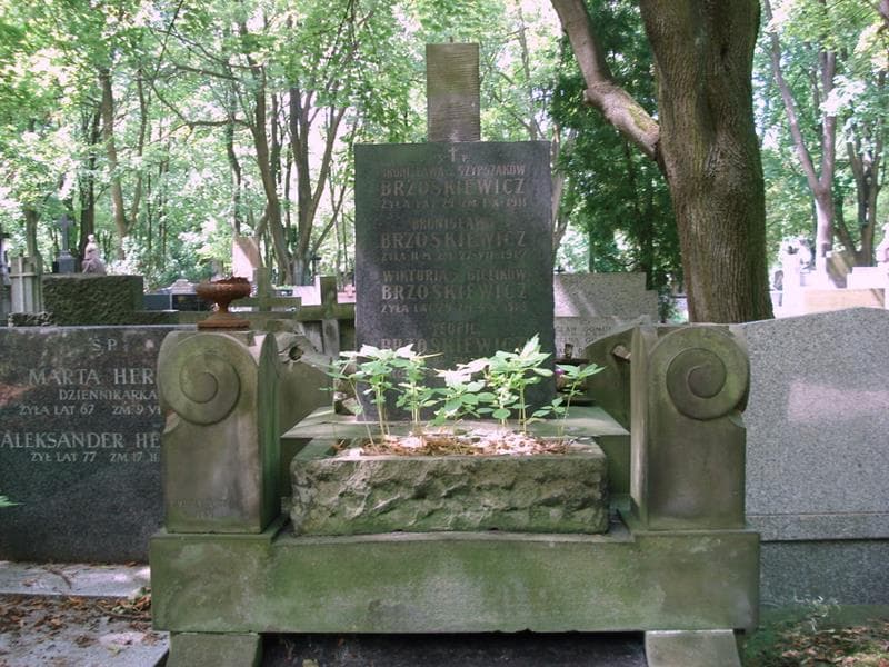 Zdjęcie grobu Bronisława Brzoskiewicz (2)