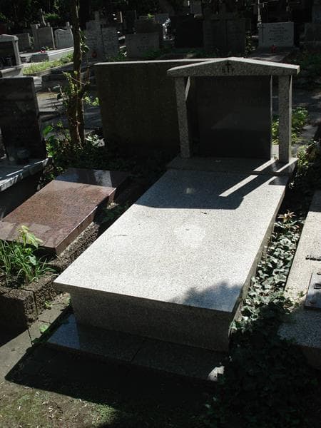 Zdjęcie grobu Michał Kobierzycki (1)