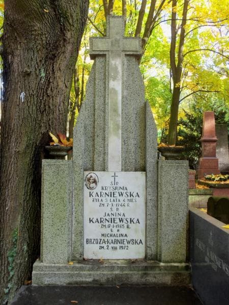 Zdjęcie grobu Michalina Brzoza-Karniewska (2)