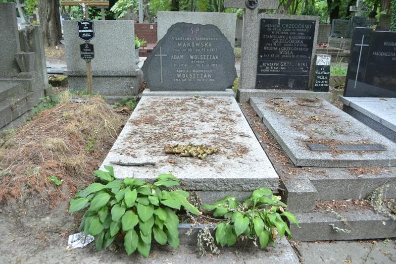 Zdjęcie grobu Stanisława Makowska (1)