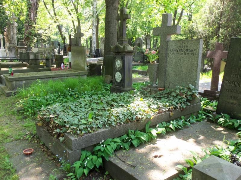 Zdjęcie grobu Józef Chrzanowski (1)