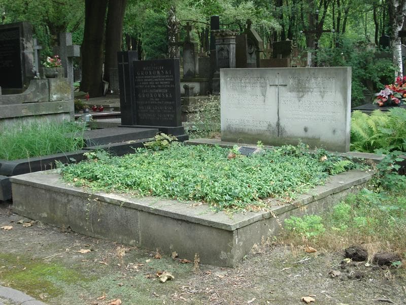 Zdjęcie grobu Czesław Puzyna (1)