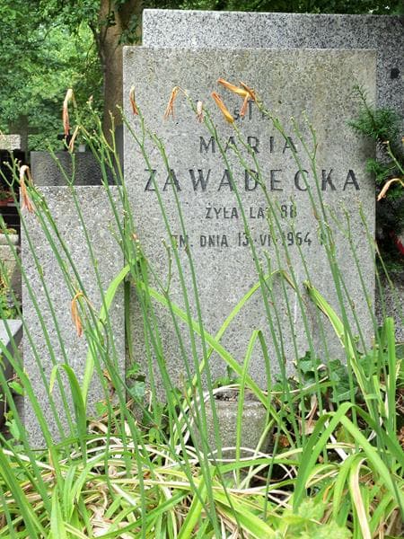 Zdjęcie grobu Maria Zawadecka (2)