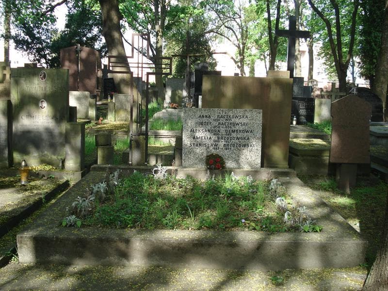 Zdjęcie grobu: Stanisław Brzozowski