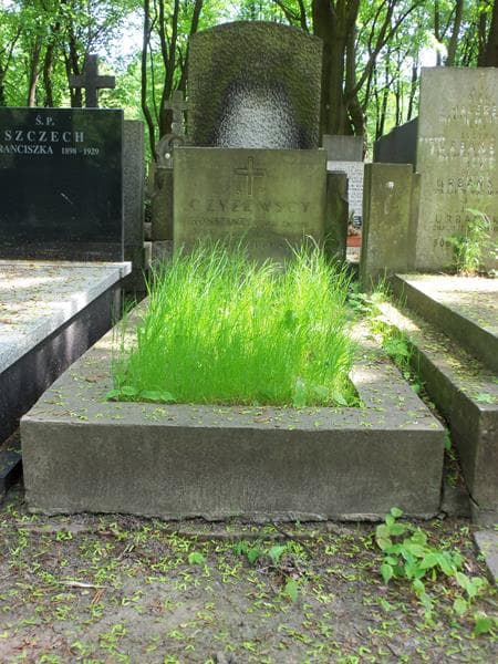 Zdjęcie grobu: Serafina Czyżewska