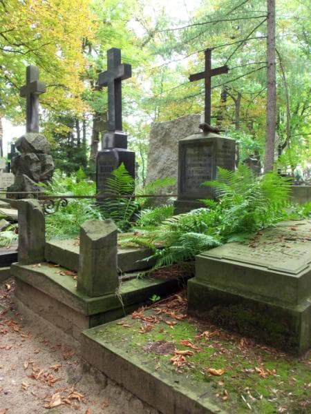 Zdjęcie grobu Pelagia Dzwonkowska (1)