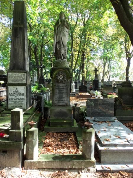 Zdjęcie grobu: Bronuś Krzyżanowski
