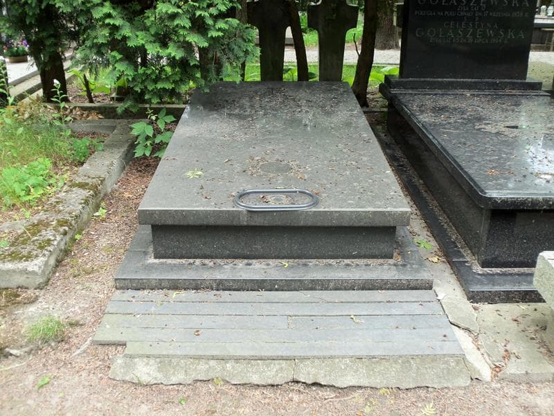 Zdjęcie grobu: Zygmunt Cherczyński