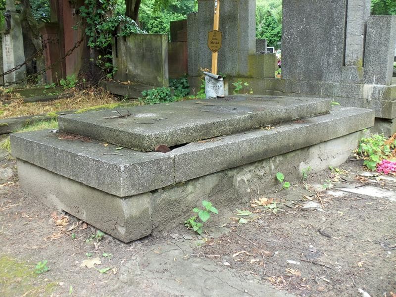 Zdjęcie grobu Ludwik Heyne (2)
