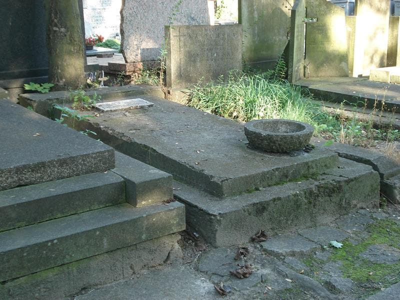 Zdjęcie grobu August Domański (1)