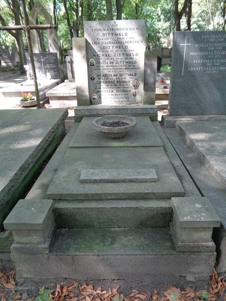 Zdjęcie grobu Ludwika Dittwald (1)
