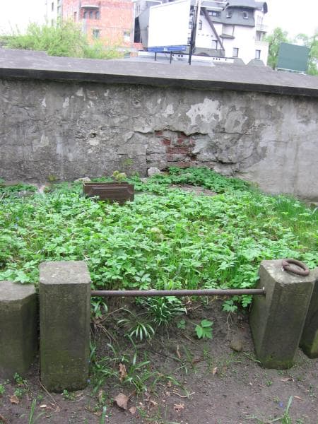 Zdjęcie grobu Agnieszka Leszczyńska (1)