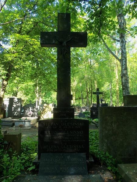 Zdjęcie grobu Stefan Olesiński (2)