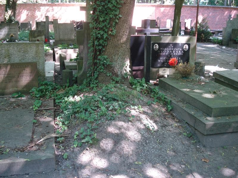 Zdjęcie grobu: Bronisław Borkowski
