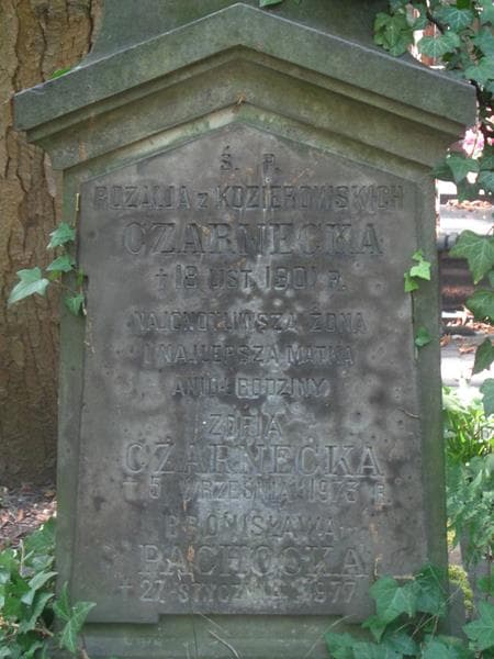 Zdjęcie grobu Rozalja Czarnecka (2)
