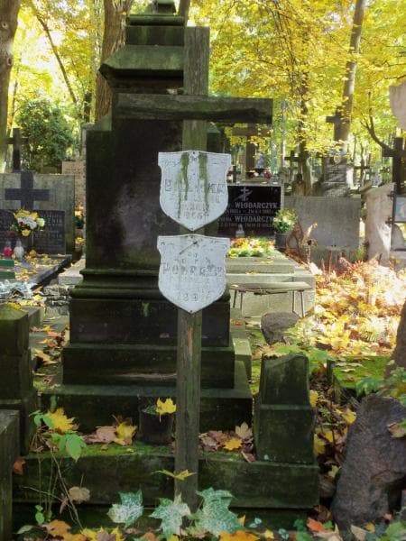 Zdjęcie grobu Henryk Podraza (1)