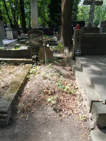 Zdjęcie grobu Maria Walter (1)