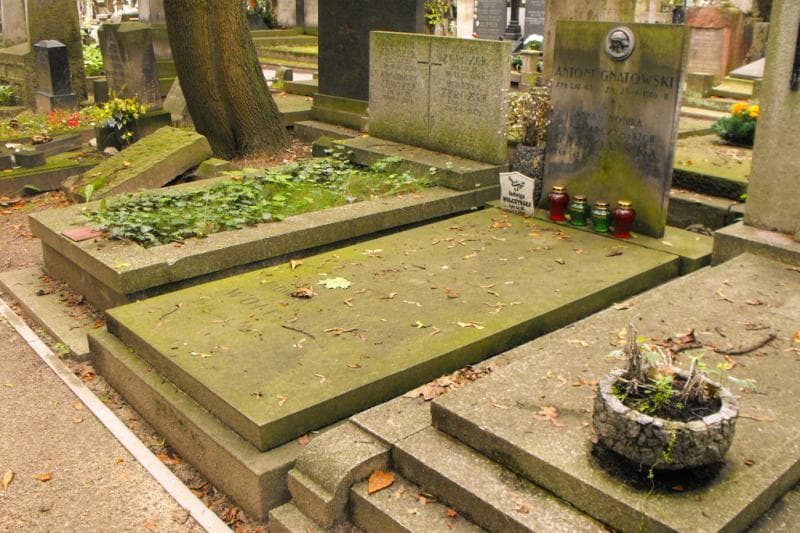 Zdjęcie grobu Jadwiga Wołczyńska (1)
