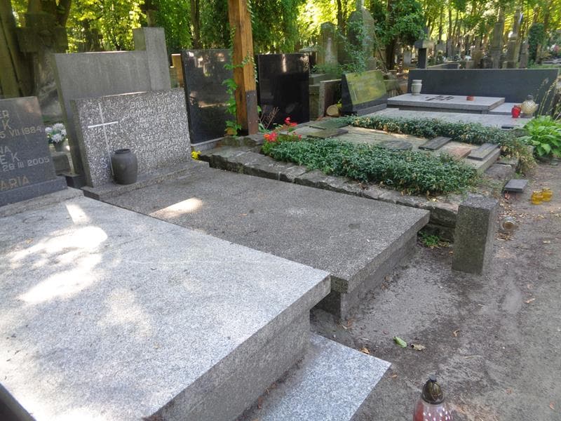 Zdjęcie grobu: Stefan Domaradzki