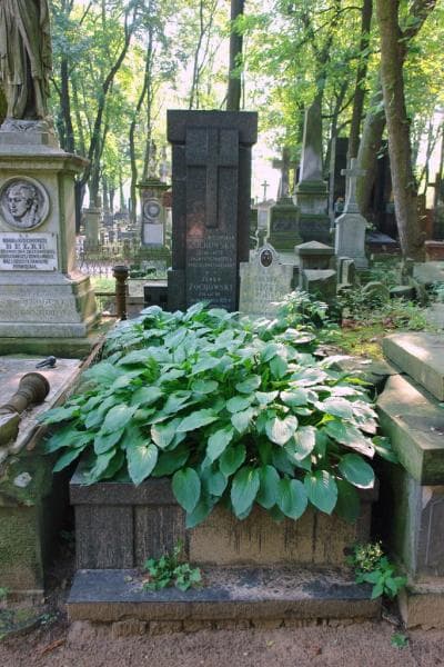 Zdjęcie grobu Bohdan Żochowski (1)