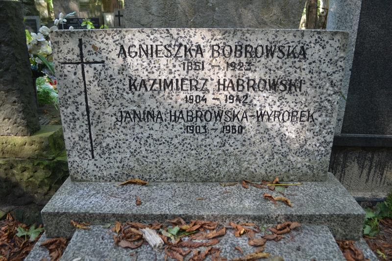 Zdjęcie grobu Kazimierz Habrowski (2)