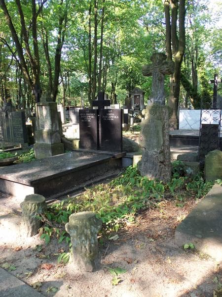 Zdjęcie grobu: Zygmunt Albert