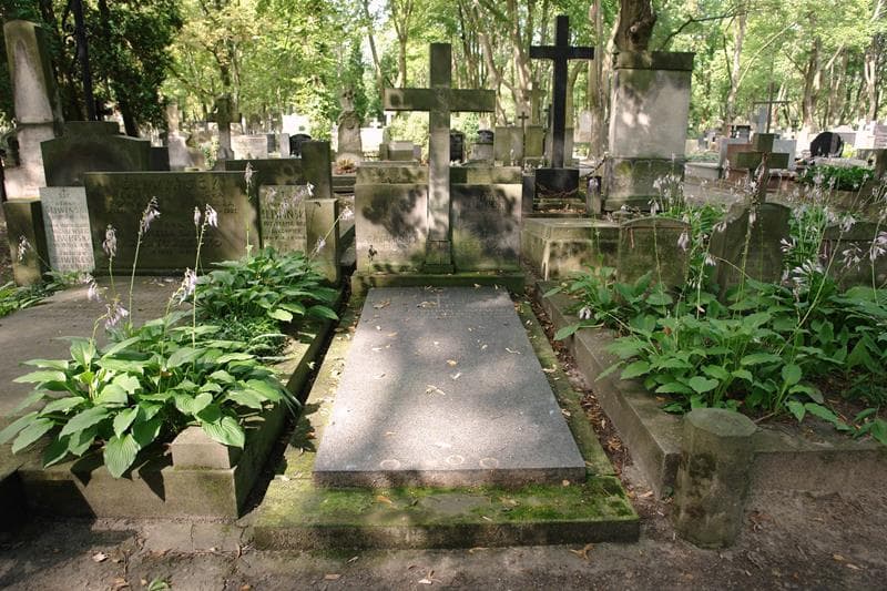 Zdjęcie grobu Zosia Ciszewska (1)