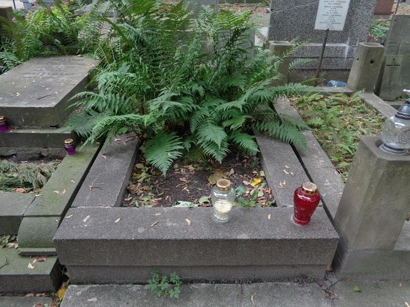 Zdjęcie grobu Mieczysław Żugajewicz (1)