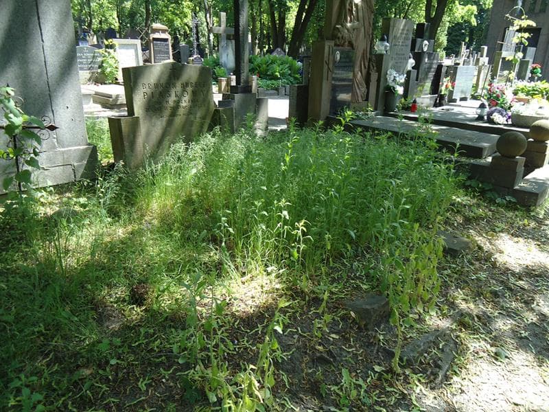 Zdjęcie grobu Brunon Hubert Piaskowy (1)