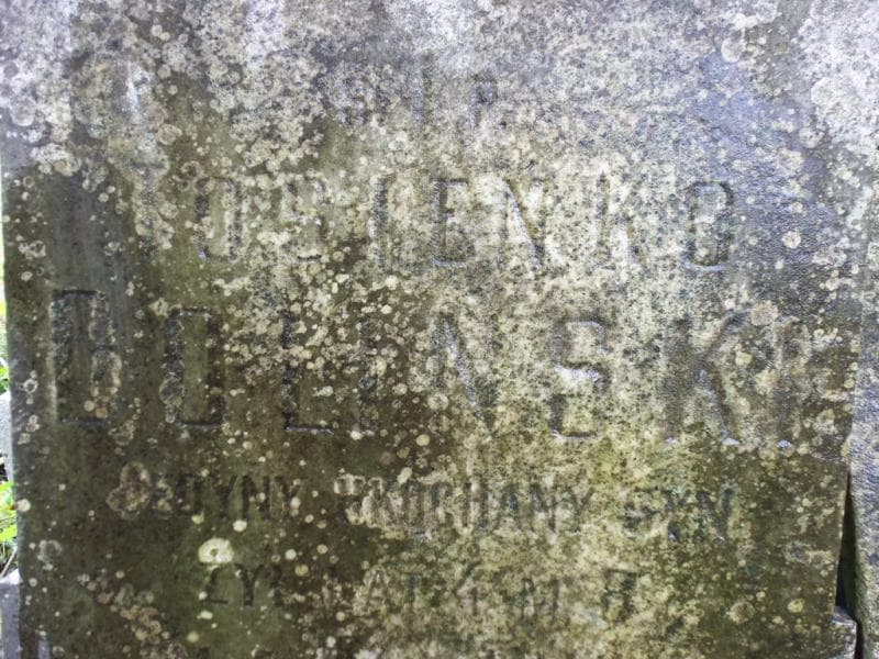 Zdjęcie grobu Maksymiljan Boniecki (2)