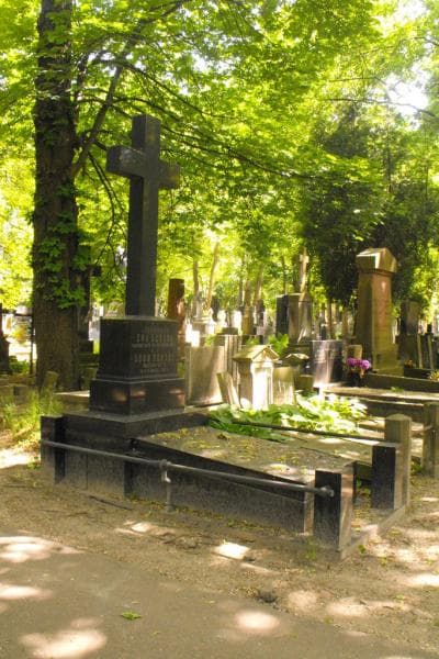 Zdjęcie grobu Leon Dębski (2)