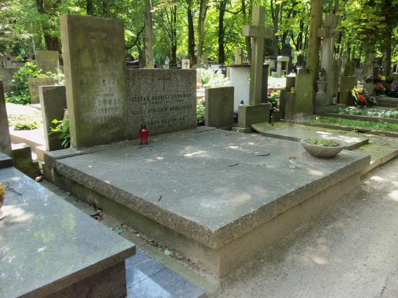 Zdjęcie grobu Olga Wróblewska (1)