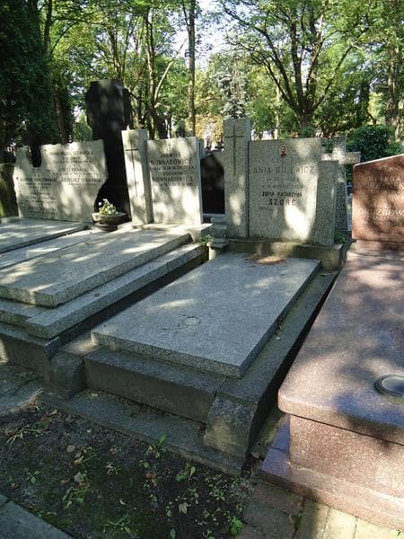 Zdjęcie grobu Ania Bilewicz (1)
