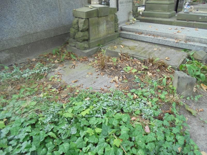 Zdjęcie grobu Józefa Zdanowska (2)
